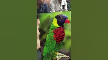 uv printing with Gen5 head with good varnish and emboss effect good price