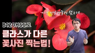 [B120] Taking flower photos with a photography light is a game changer! #HighQualityPhoto #Verified screenshot 4