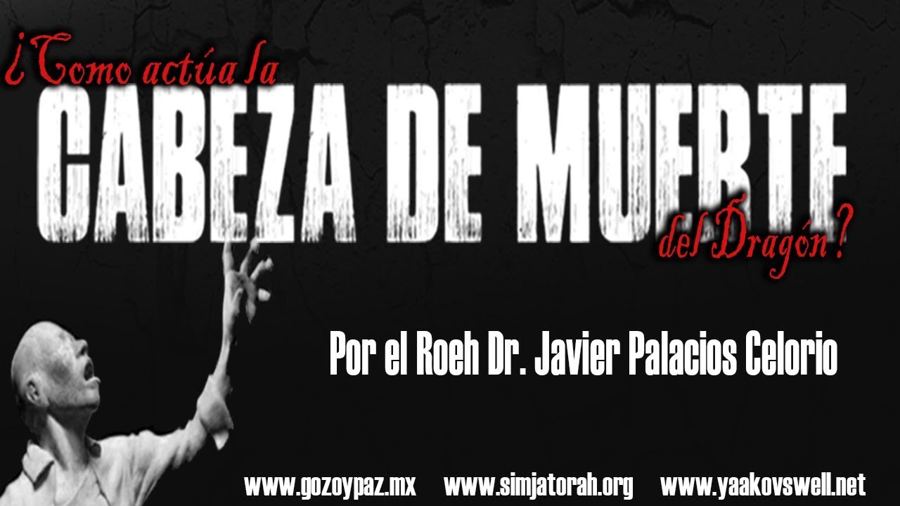 ¿Como actúa la Cabeza de Muerte del Dragón ? Parte 1 por el Roeh Dr. Javier Palacios Celorio cristianos libros