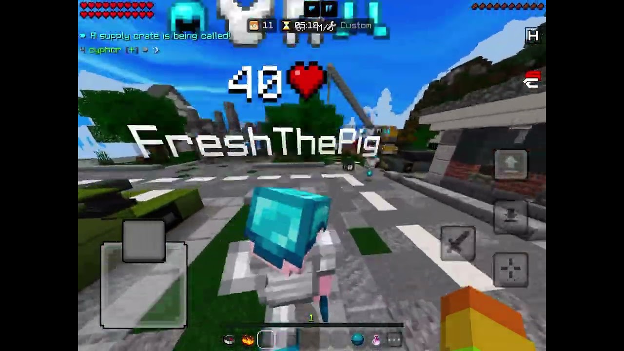 Playing with @FreshThePigMC
