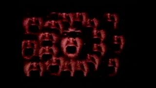 Celebrity RISE: RAVE OUTLAW DISCO DONNIE 2003 Trailer Profile