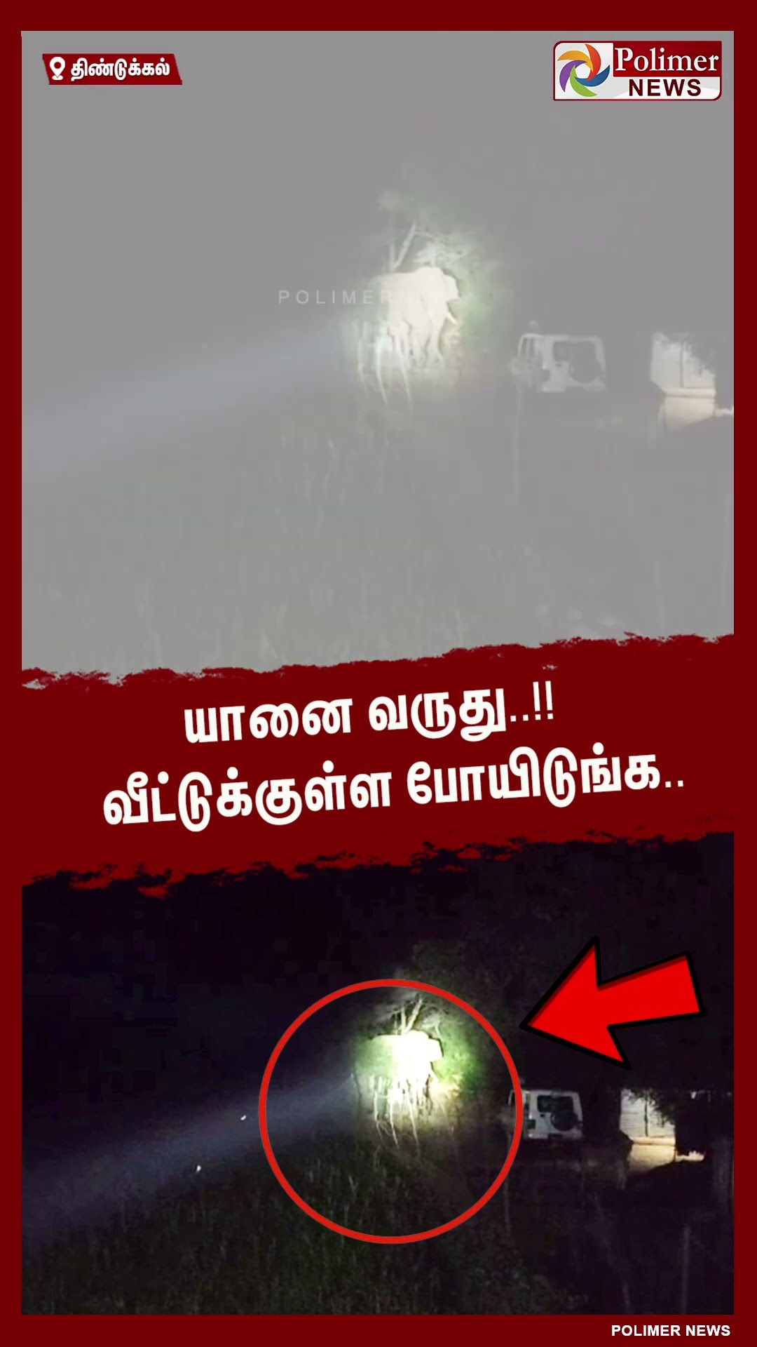 நள்ளிரவில் ஊருக்குள் உலா வந்த யானையால் மக்கள் அச்சம்..!!  #shorts
