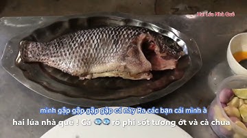 Đừng vội hãy nấu ăn theo cách của bạn, cá rô phi sốt cà chua