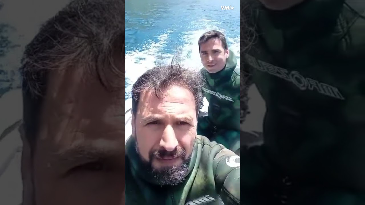 Freesun 3 mt şişme bot 6 hp tohatsu motor 