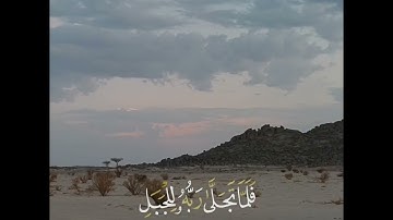 🍃محادثة نبي الله موسى مع الله عز وجل 🍃حالات قرآن🍃القارئ إدريس أبكر🍃ولما جاء موسى لميقاتنا 🍃