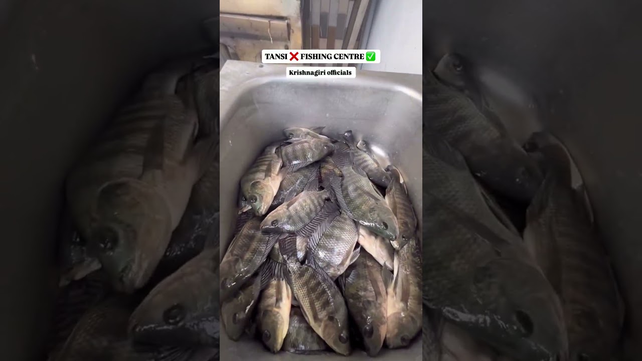 😱😨Heavy rain in krishnagiri 