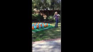Balloon popping dog , Twinkie, predicts super bowl 50, 2016, Broncos vs Panthers