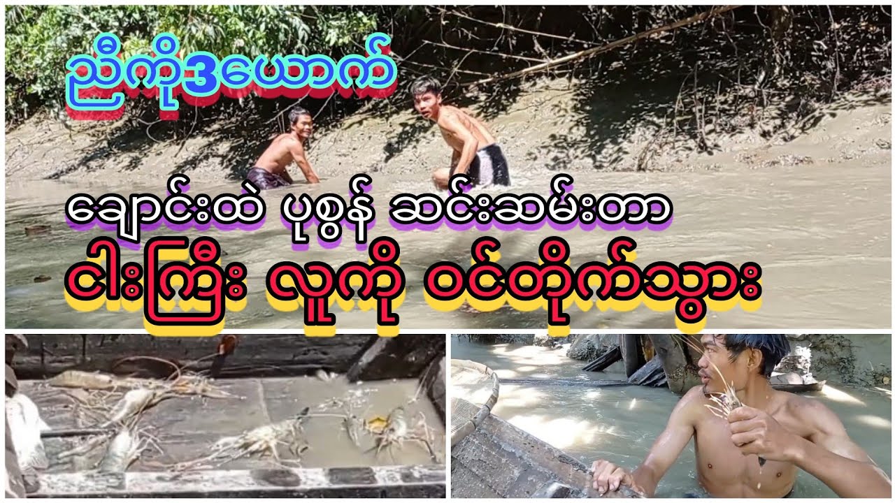 ဘာငါးကြီးလဲ မသိဘူး🤷‍♂️🤷‍♂️   ညီကို3ယောက် ချောင်းထဲ ပုစွန် ဆင်းဆမ်းတာ🤭