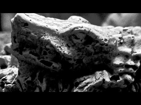 مهرجان مسجون مجنون توزيع أحمد المجيكنو غناء فارس الجن 2023