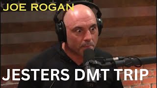 Joe Rogan seeing  Clowns Jesters during DMT
