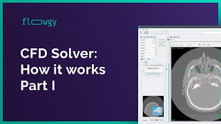 Famous CFD Solver – How it Works Part I | Flowgy Academy Profile