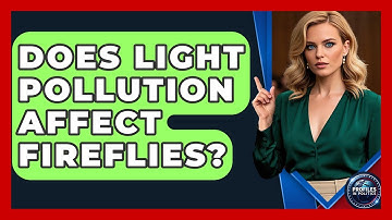 Does Light Pollution Affect Fireflies? - Profiles in Politics