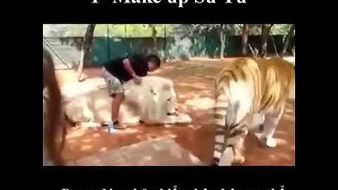 Top 10 công việc nhẹ lương cao, dễ kiếm