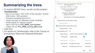 Phylodynamics Continuous: Analyzing Output