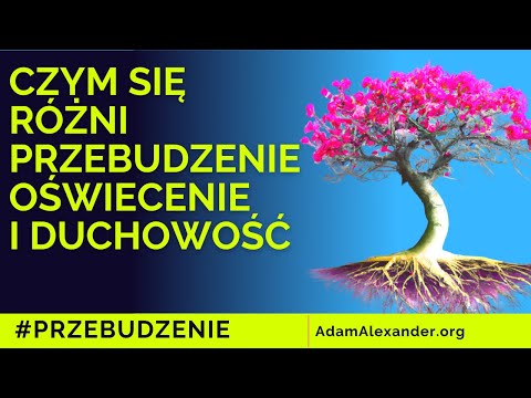 Wideo: Jaka jest różnica między osobą a jednostką?