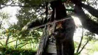 Collaboration Performance Wooden Pints  korpiklaani