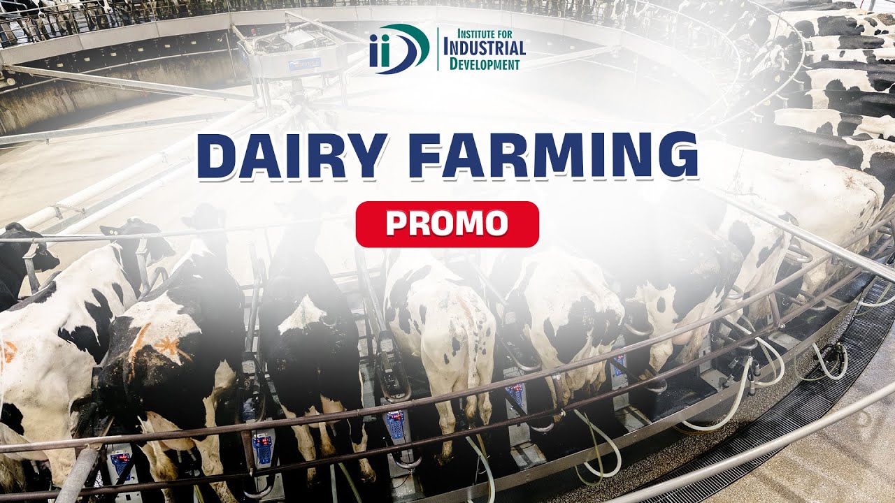 Dairy Farming YouTube