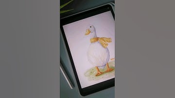 Illustrating a Digital Watercolor Goose #digitalart #watercolor #illustration #procreate