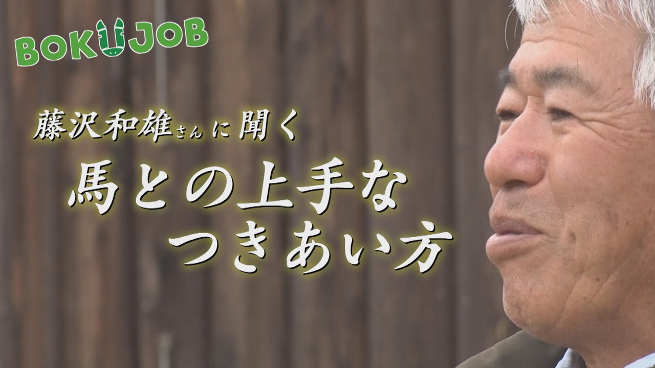 『藤沢和雄さんに聞く馬との上手なつきあい方』