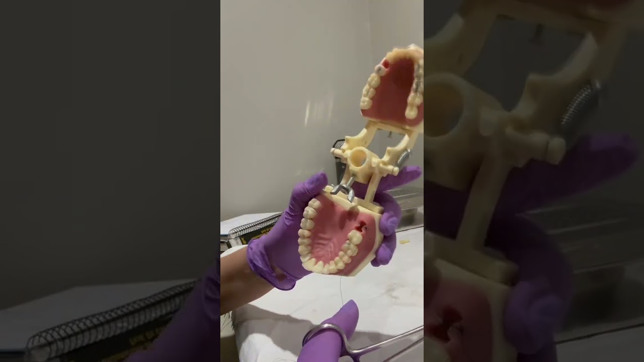 sutura e montagem de mesa (exodontia ,demonstração)