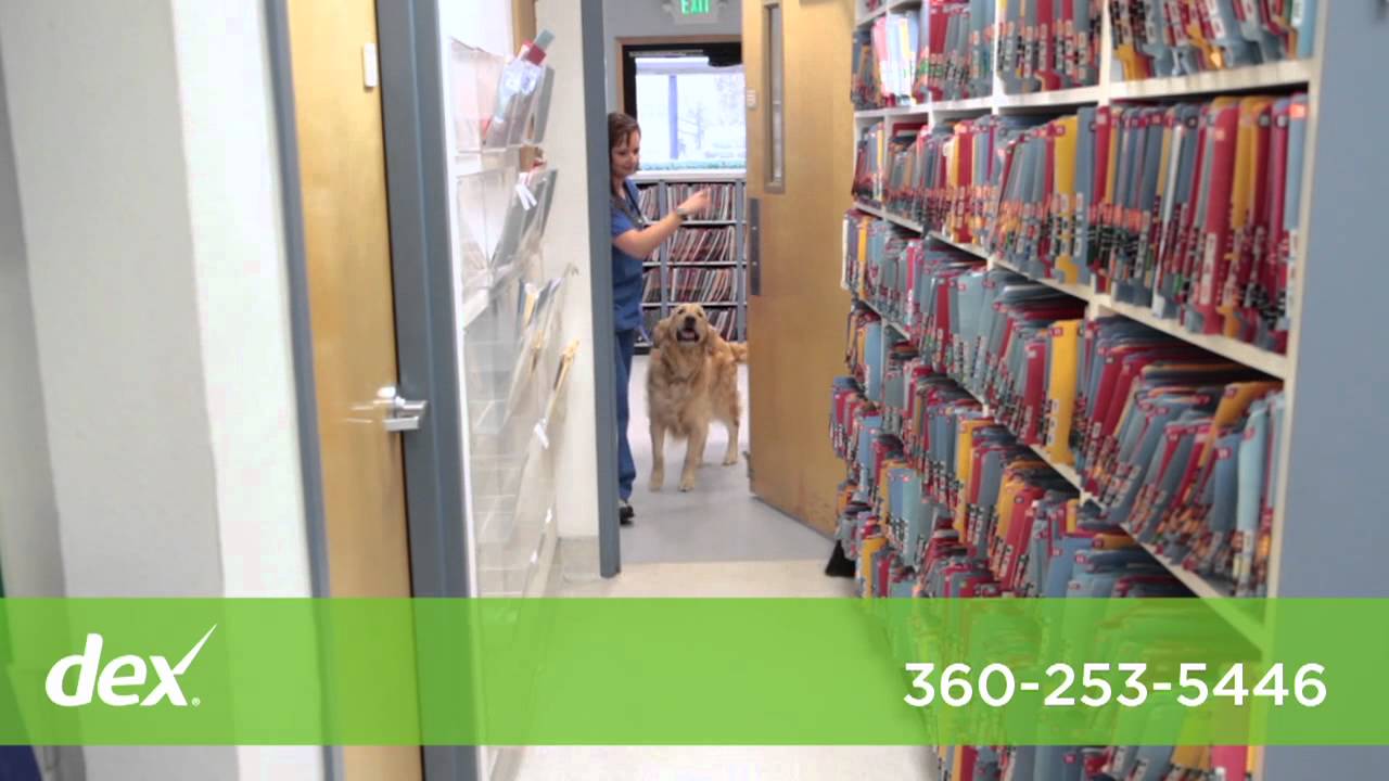 st francis 24hr animal hospital