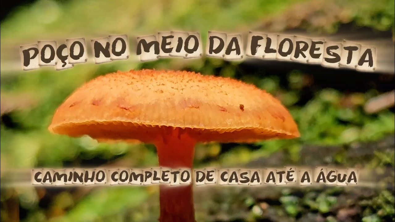 Caminho Completo Poço das Pacas - Caraguatatuba SP