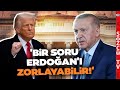'Her An Ağzından Çıkabilir' Serdar Cebe'den Trump Çıkışı! Erdoğan'ı Zorlayabilecek O Soruyu Anlattı