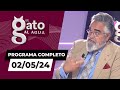 El gato al agua  02052024