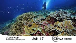 Straz Center - National Geographic Live! Brian Skerry