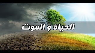 معنى الحياة و الموت - أفكاري الخاصة