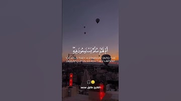 قرآن كريم آيات مريحة للقلب طارق محمد #تلاوة_خاشعة #استغفر_الله #صلوا_على_النبي