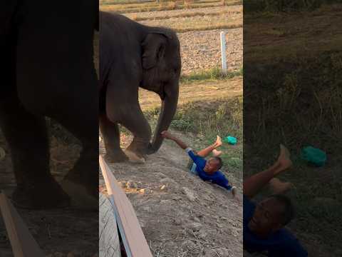 เล่น❗️กัน จนพลาด😲เสียท่า