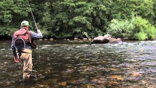 Peche de l'ombre commun avec Thierry Millot -  www.guidepechemouche.com