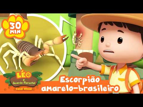 O escorpião-brasileiro tem um ferrão venenoso! | Leo, O Guarda Florestal | Animação