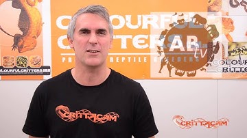 The Future!! - CrittaCam