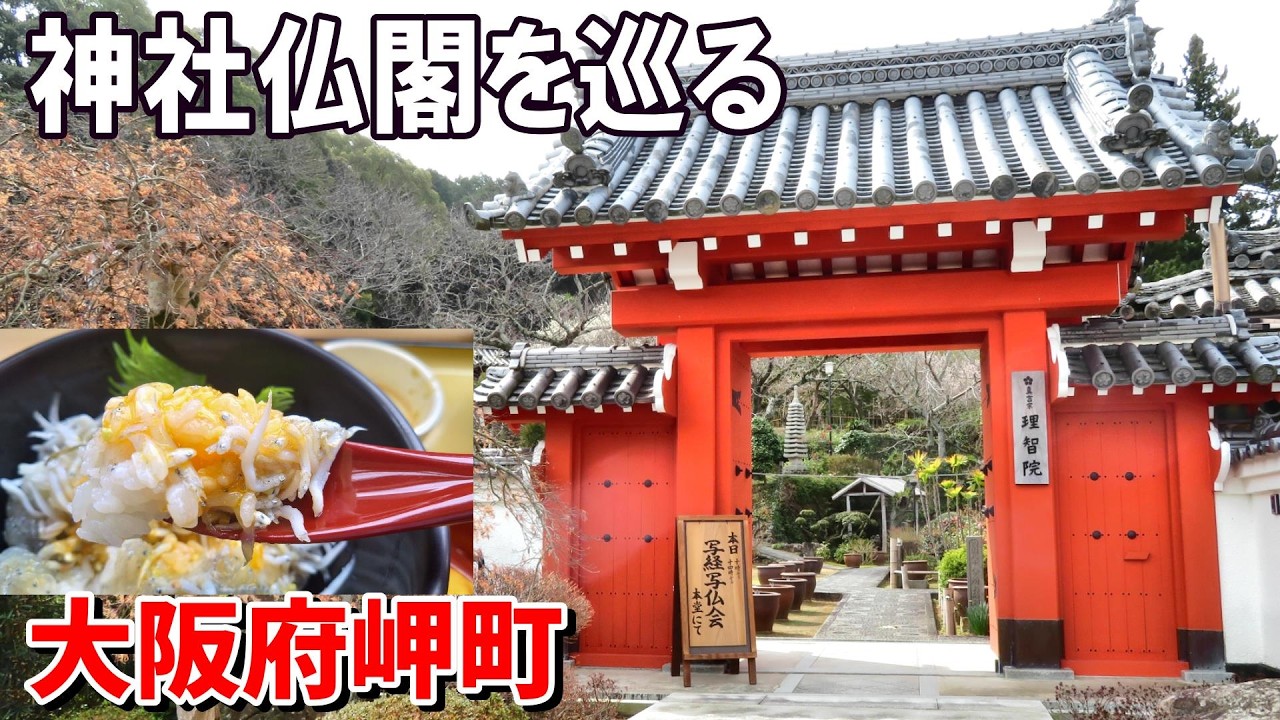 【シニアの一人旅Vlog＠大阪府岬町】歴史ある神社仏閣を巡る｜絶品「Wしらす丼」も