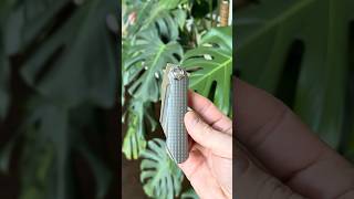 Twosun Silverback Mazwan Mokhtar TS195 Integral Frag Titanium Framelock M390 Front Flipper #edc