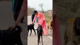 अधूरा ही रह गया मेरी ज़िन्दगी का हर सफ़र 💔🥀 #priyanka_chouhan70