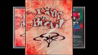 Limp Bizkit  Pollution demo Vers 1996