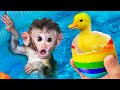 Baby Monkey Bin Bon Goes Fishing And Eats Fuits With Ducklings In Swimming Pool