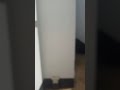 هانا هنا