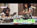 恐竜になりきる…?三つ子のごっこ遊びが可愛すぎたww