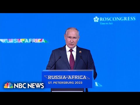 Putin pledges free grain for africa