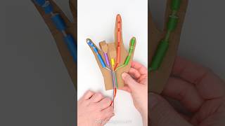 Robot Hand Stem Craft   