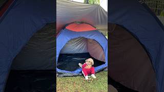 Camping dayyy 🤗⛺️ #camping #berkemah #anaktk #ayumimarsya