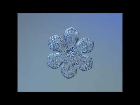 Video: Drop A Sněhová Vločka