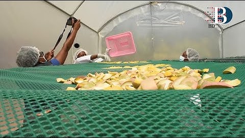 Kitui farmers rip big from dried mangoes