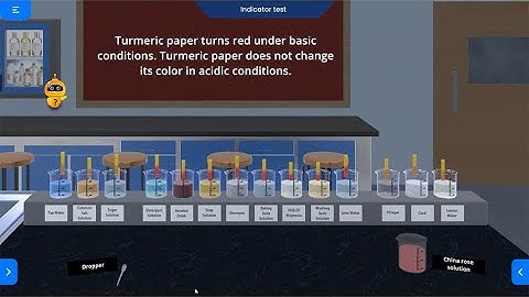 Highlights of Scholarlab