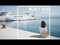 Weekly Vlog 23|第一次和德国朋友出去旅游|古董市场淘到宝|家庭烧烤