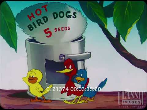The Bored Cuckoo
